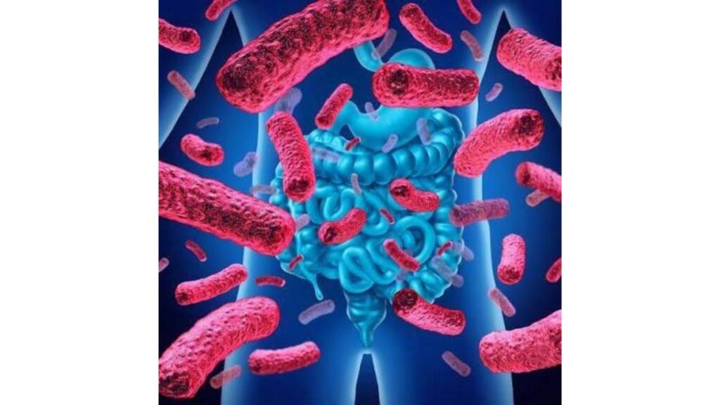 Probiotiques : lesquels choisir pour améliorer la santé intestinale ?